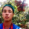 daitong.1808