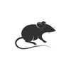 bigmouse167