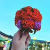 freefrie2025.com