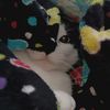 ilovedonutsv2
