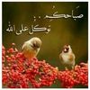 user6147251292771