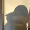 stoegiii_