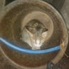 yazid_4082