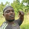 alali.nyakonjo