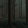 evelinna_x