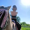 equestrian.kserda