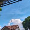 bos.kacong5