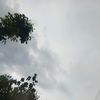 _liya2.7