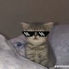 meya_meya99808