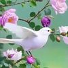 user885920213065587