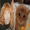 davesiken