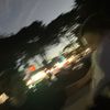 ku_ziggy3