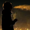dvv.vit1102