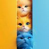 randomlyrandom67