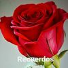 jayme.cardona2