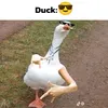 duckmaster911