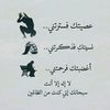 user8178025811885
