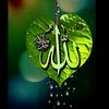 md.mikat.hossain