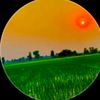 rizwan.ali.336