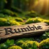 rumbidzaitsiga448