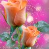 nuurkhatty82
