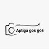Aptiga gos goos