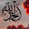 rasha.mahmoud227