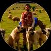 user751618817735