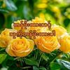 ma.rose8462