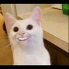 itsmeow777