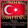 mehmet.budak57