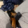 ritchiejac0