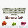 euniceotubea679