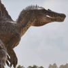 arkspinosaurus