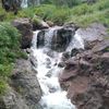 saleh075494