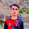 uzar01169