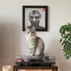 Leon the Cute | The Vinyl Cat