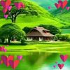 user5746750819196