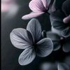 emmhamad983