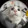 craftyvrfs
