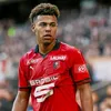 luislerennais7