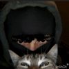 tweest_bariki1