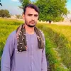 romal.surkhroady