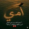 user3287024455306