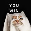 YOU WIN