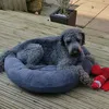 alfie.rollerson