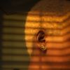 midey_048