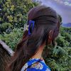 khushii1079