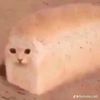 bibusha92