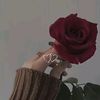 marwa.mohamed8127
